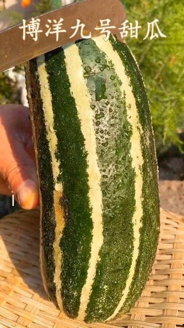 不熟的瓜可以吃吗,能否放心食用?