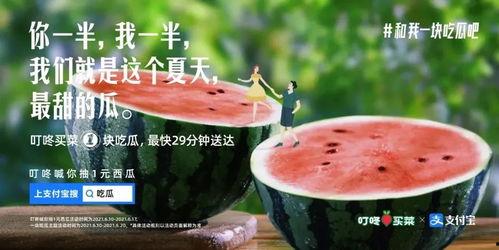 情侣吃瓜最新,情侣吃瓜背后的甜蜜故事